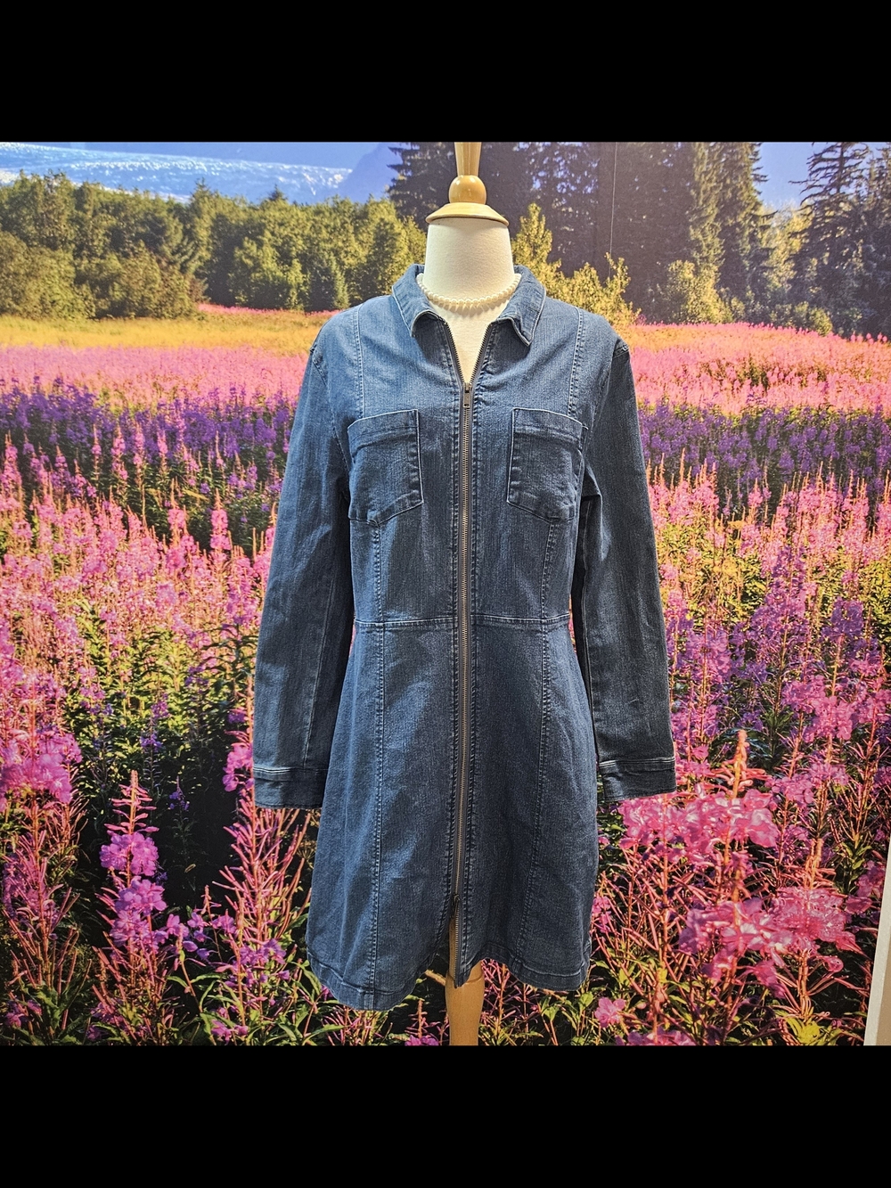 Denim Zip-Front Jacket Dress - Blue Xl